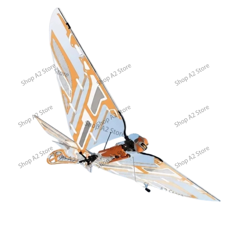 Drone RC Libellule Bionique In - Drone Ls Rc avis et prix